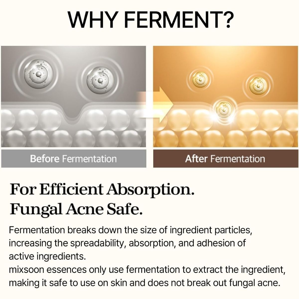 Mixsoon Bean Essence-Waarom ferment