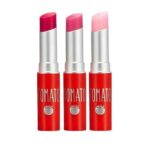 SKINFOOD - Tomato Jelly Tint Lip - 3 types