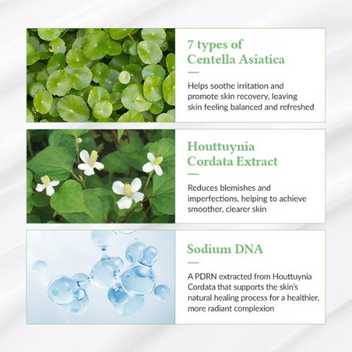Dr Althea Green Tea Fresh Sunscreen-Ingredienten 2