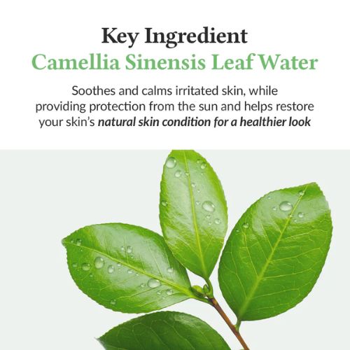 Dr Althea Green Tea Fresh Sunscreen-Ingredienten