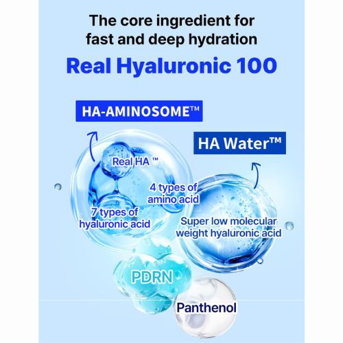 WELLAGE Real Hyaluronic Blue 100 Ampoule-Ingredienten